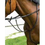 Martingale à anneaux 