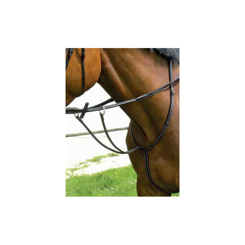 Martingale à anneaux 
