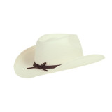 Chapeau de Cow-Boy Phoenix