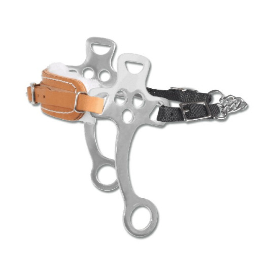 Hackamore branches courtes