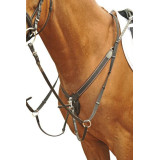 Collier de chasse élastique