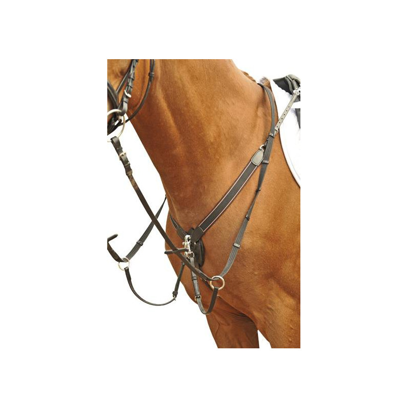 Collier de chasse élastique