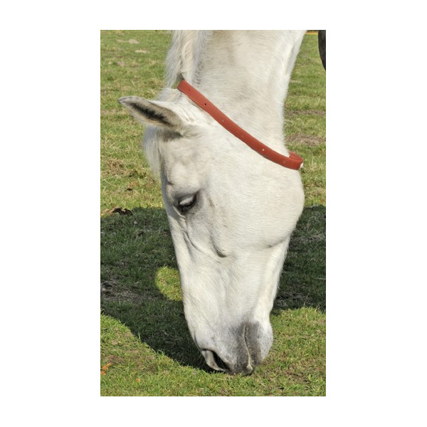 Lot de 2 collier Anti-Insectes