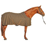Chemise coton