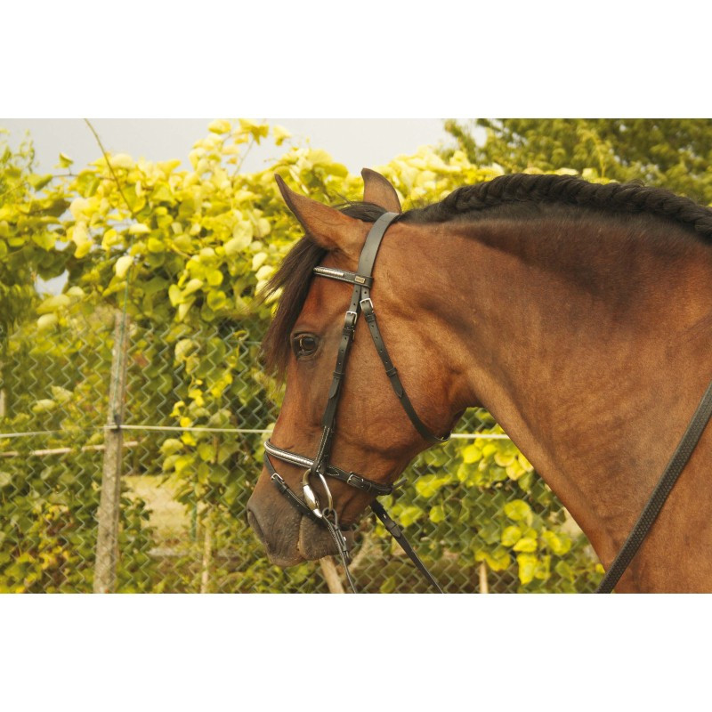 Bridon Goya Clincher argent