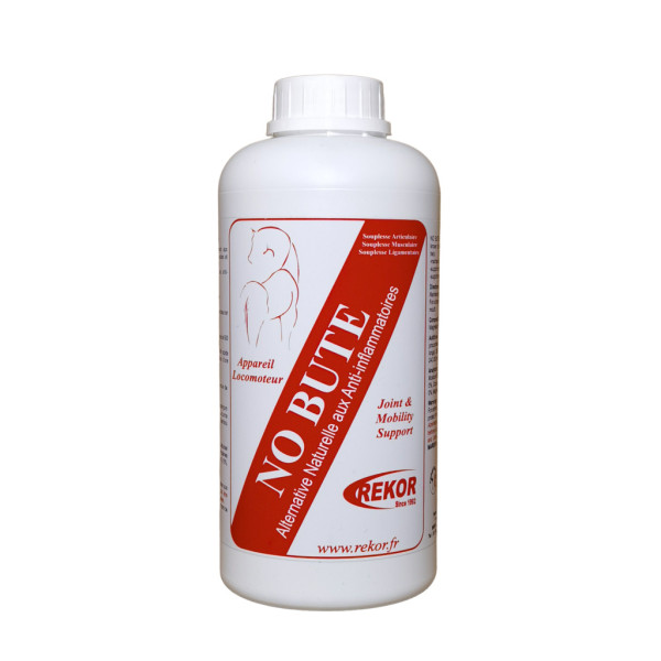No Bute -Rekor-