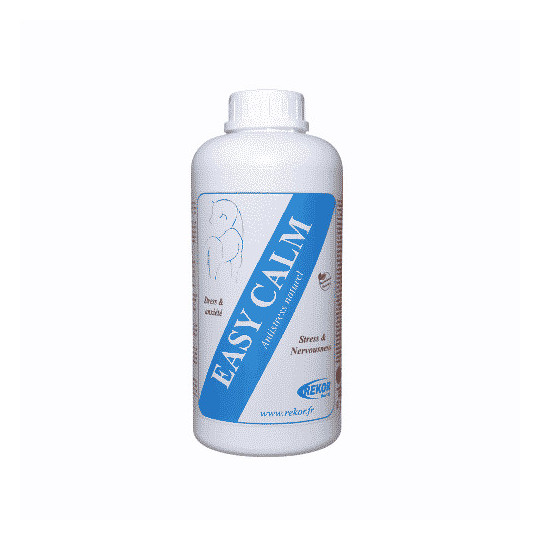 Easy Calm -Rekor-