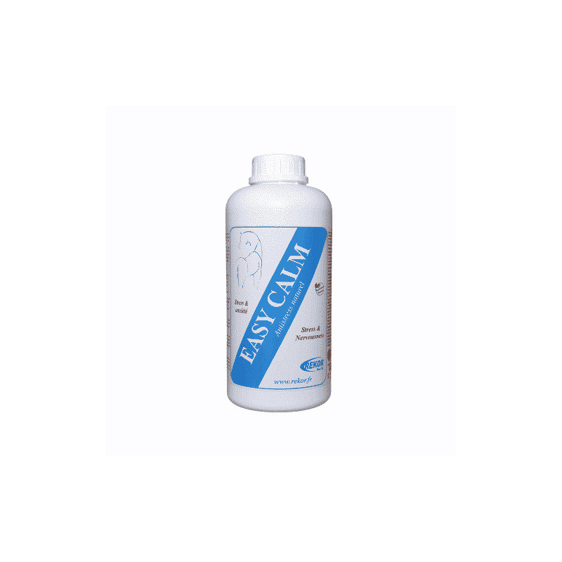 Easy Calm -Rekor-