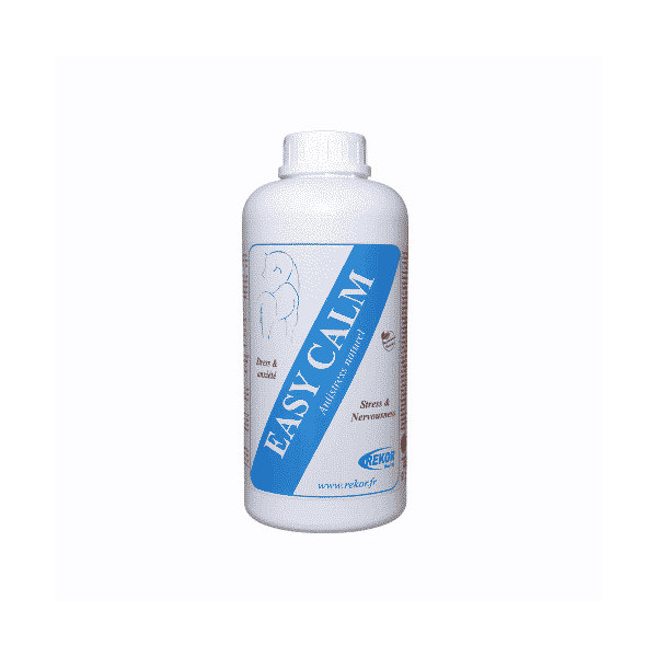 Easy Calm -Rekor-